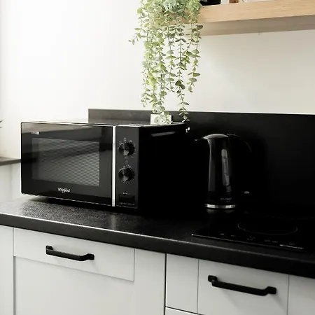 Daire Piotrapartments - Wilcza Luxury In Centre Varşova